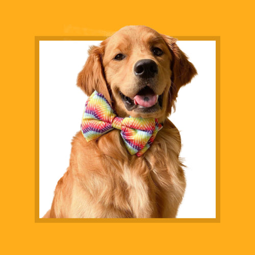 Great for dogs weighing 25-40 kg (55-88 lbs), including Golden Retrievers,  Labradors, and German Shepherds.