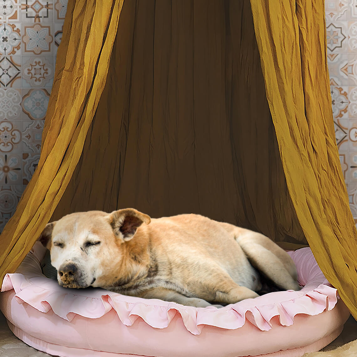 Tipi pour chien élégant et confortable pour tente pour chien