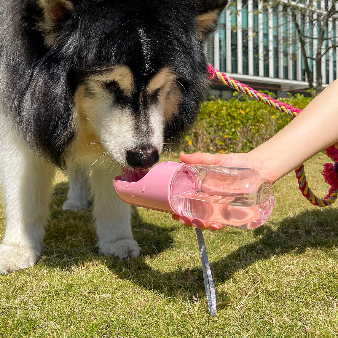 Botella de agua portátil para perros al aire libre