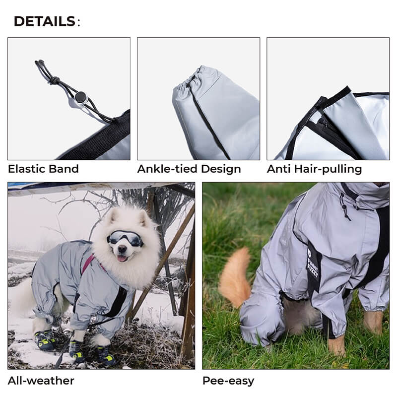 Manteau de pluie réfléchissant imperméable à l'eau pour tous les temps, accessoires pour chiens frais