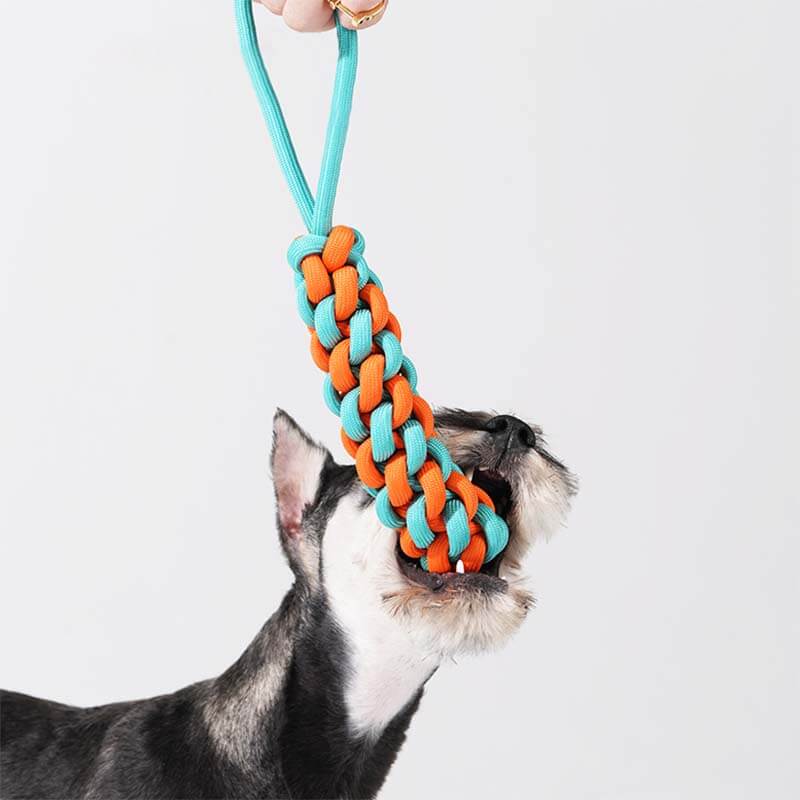 Juguete para perros remolcador de palo de cuerda trenzada - Choque de colores