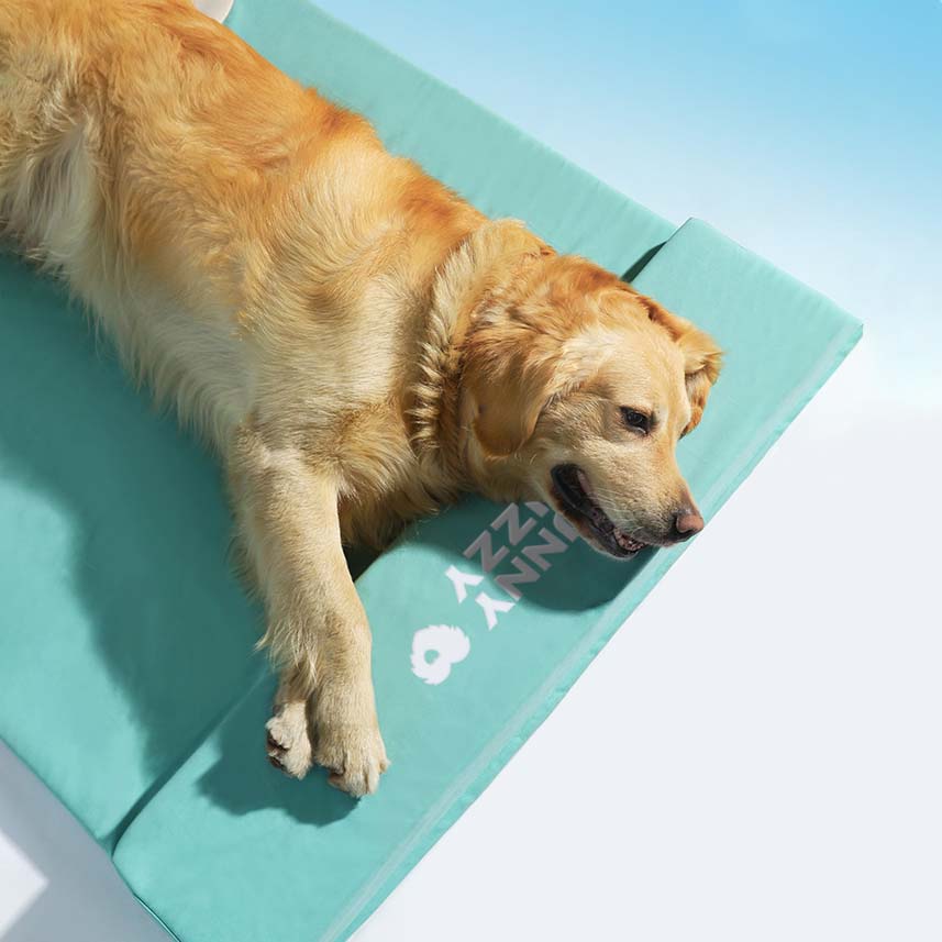 Cama ortopédica impermeable para perros - Océano