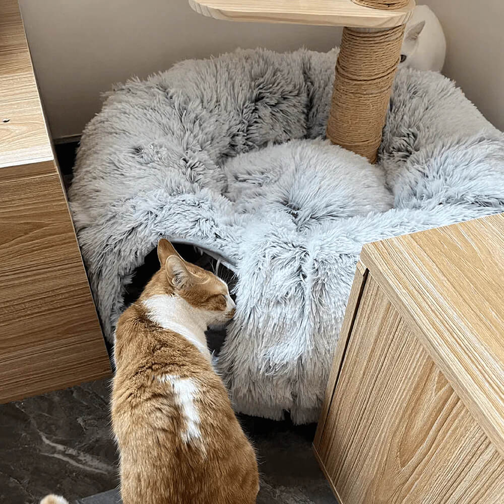 Cama túnel para gatos redonda, suave y plegable para interiores 2 en 1