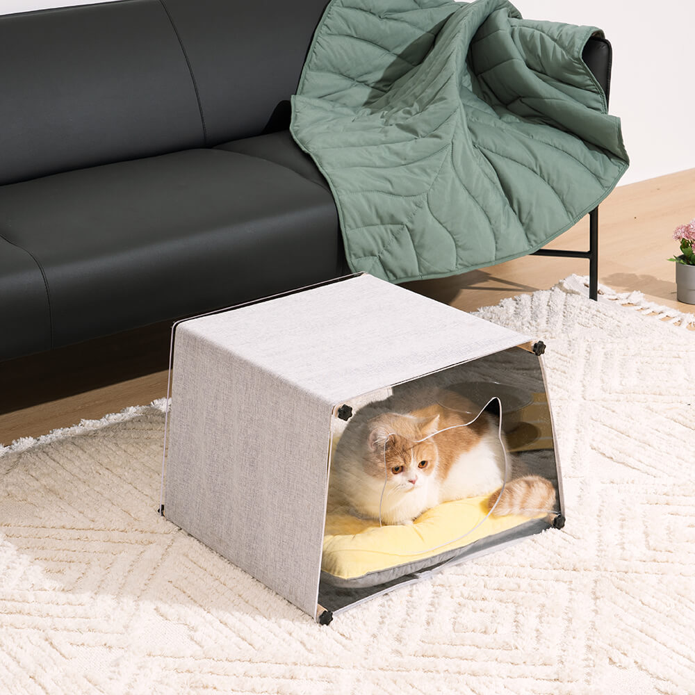 Casa de gato de estructura de madera maciza simple interior de acrílico