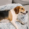 Calming Furniture Protector Dog Bed - Fuzzy Backrest - FUNNYFUZZY