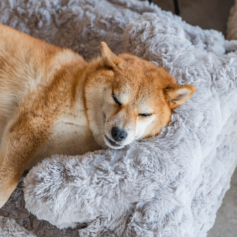 Wärmendes, flauschiges, beruhigendes Hundebett in Knochenwolkenform