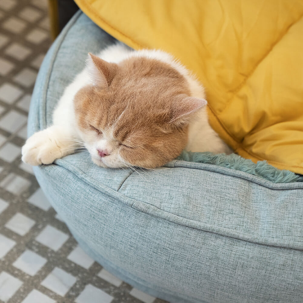 Orthopädisches Hundebett Donut