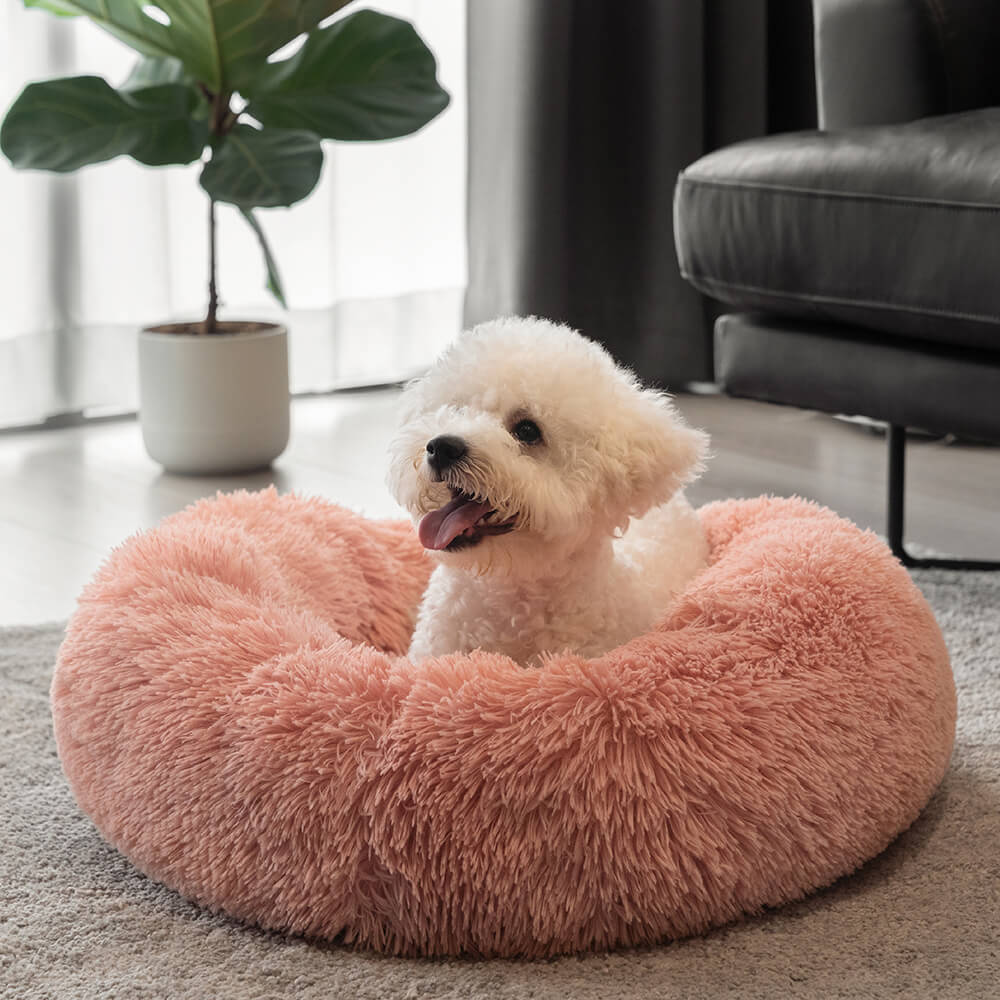 Lit rond et moelleux pour chien