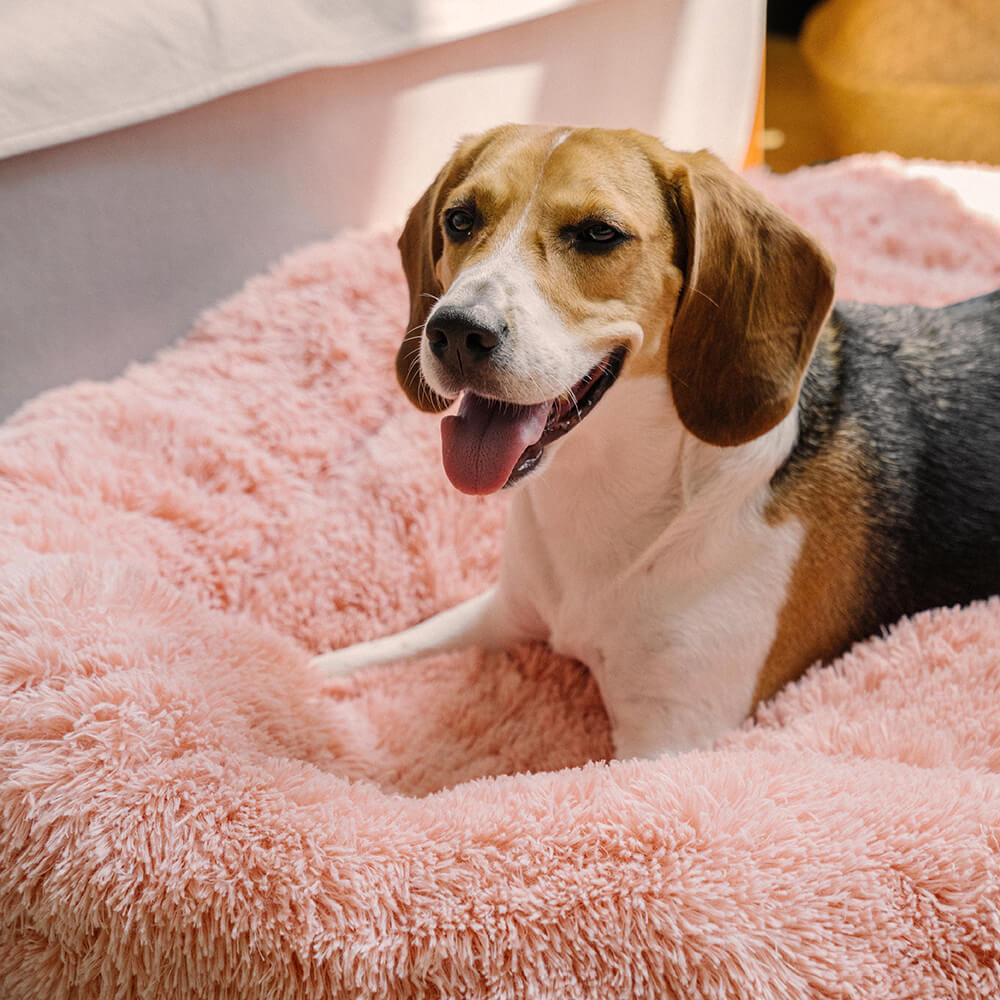 Cama redonda y esponjosa para perros