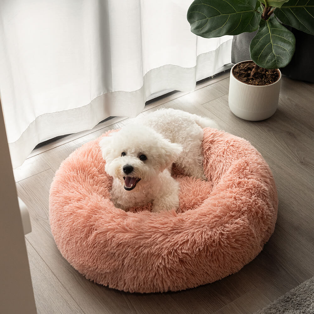 Lit rond et moelleux pour chien