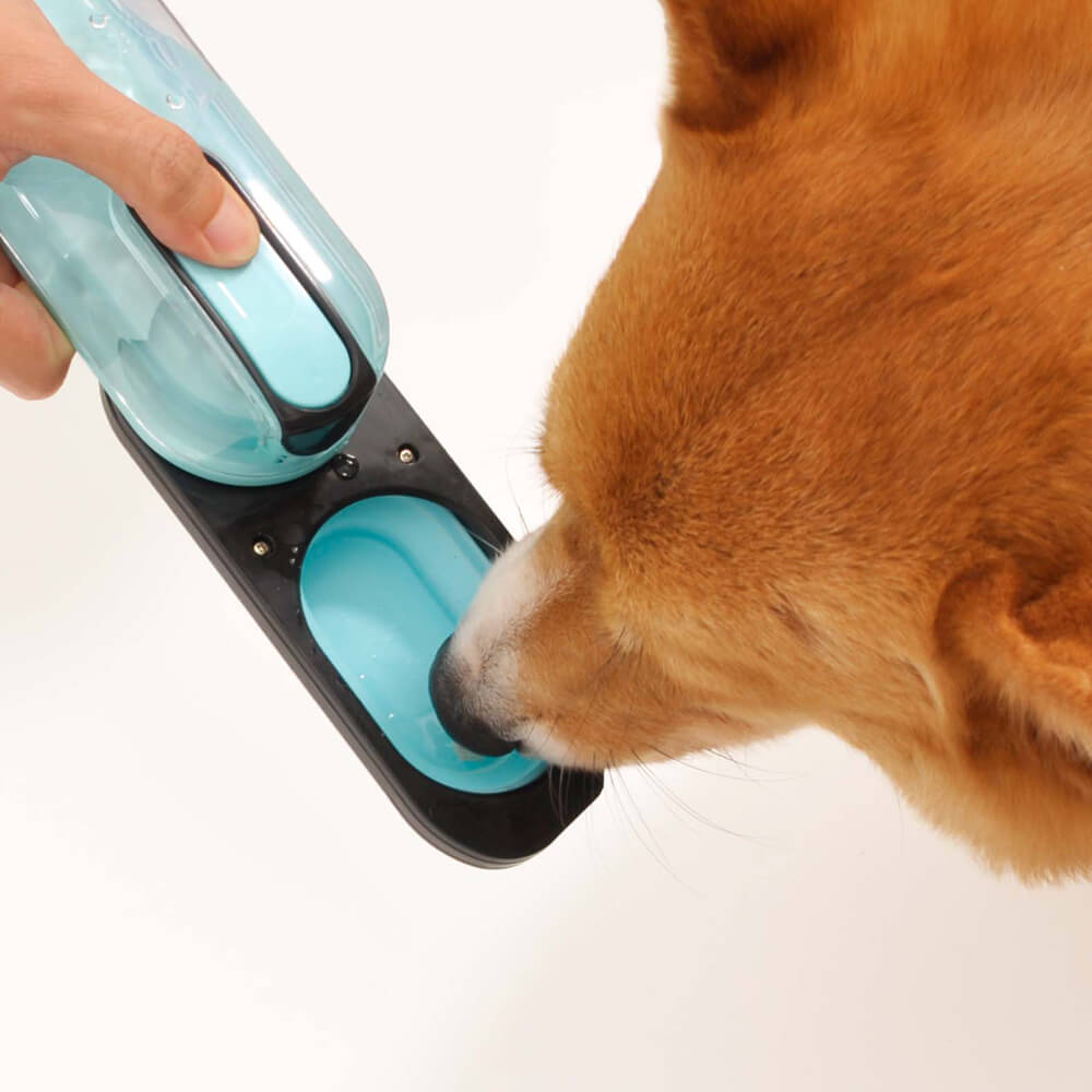 Botella de agua portátil para perros - Oceanario
