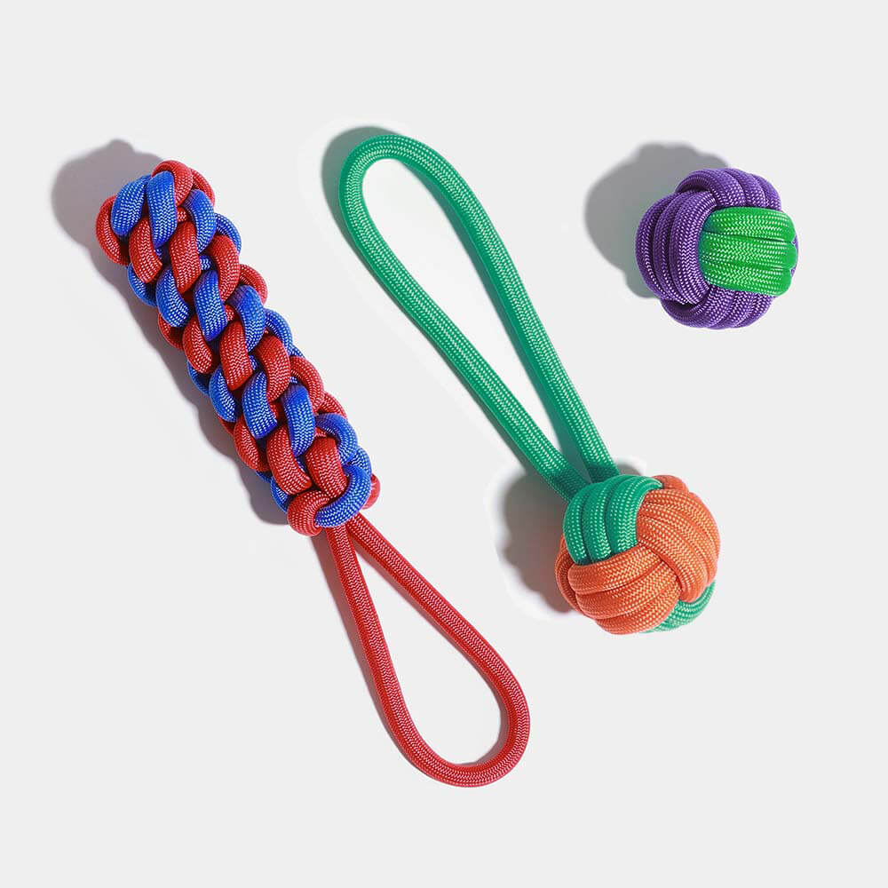 Juego de juguetes para perros con nudos y cuerda - Color Clash