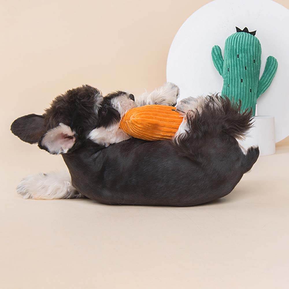 Juego de juguetes de peluche para perros chillones - Cactus