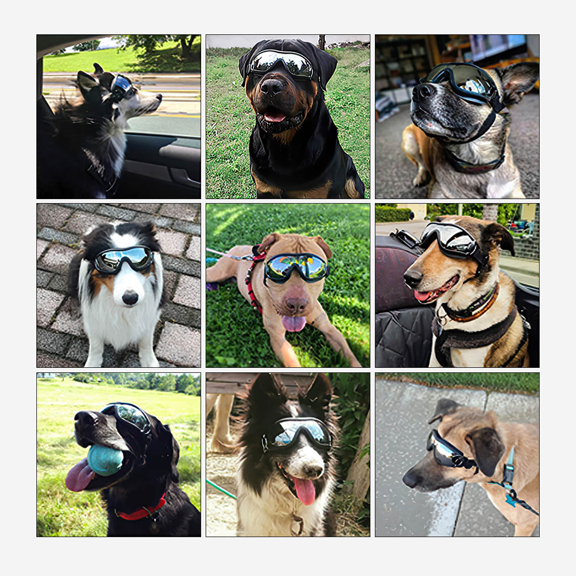 Gafas para accesorios para perros grandes y geniales
